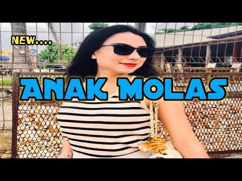 Bass Viral Manggarai ANAK MOLAS TA🏝🏝PEPIK RMXR