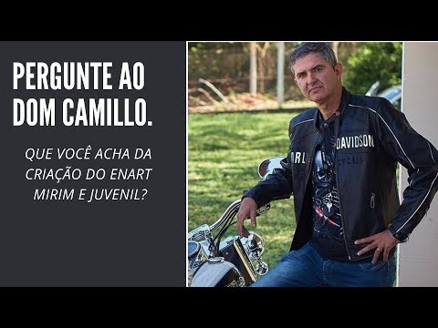 QUE VOCÊ ACHA DA CRIAÇÃO DO ENART MIRIM E JUVENIL?