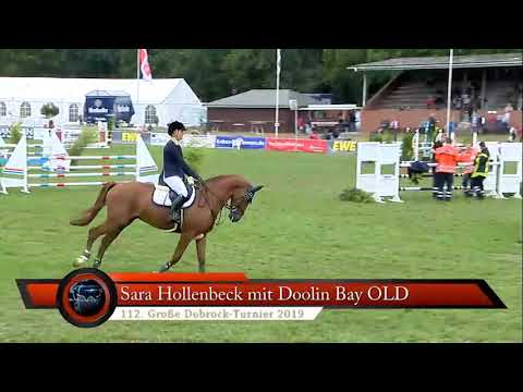 5 yo. Gelding Diamant de Semilly x Contendro