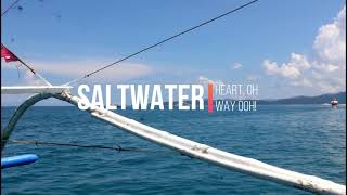 Switchfoot : Saltwater Heart