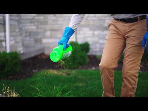 Our Trusted 5 Step Process