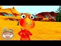 Migrations And Herds LEARN Dinosaur Train
