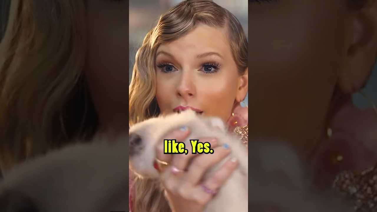 Taylor swift adopted a cat