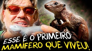 Miniatura do vídeo