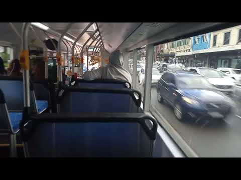 Transit Systems - 8571 - Yutong ZK6131HGE E12[Leichhardt](431 - Glebe Pt)