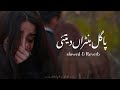 Chana Tera Shukriya Slowed Reverb Saraiki Song