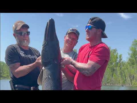 ONE LIFE AINT ENOUGH LIVE REEL