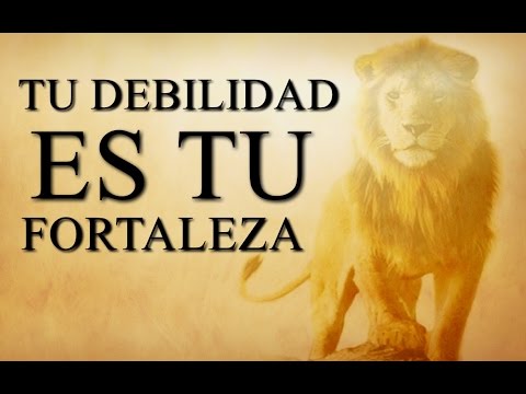 Pedro Losada | YOUR WEAKNESS IS YOUR STRENGTH