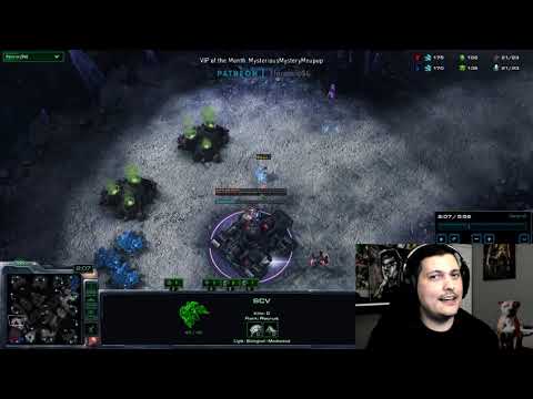 StarCraft 2 Protoss vs Terran  My hat is in his base