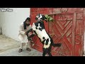 Eid Mall Mandi Funny Video By Takar Vines 2021 Takar Vines