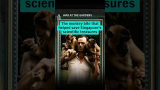 The monkey bite that helped save Singapore’s scientific treasures