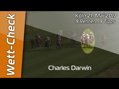 Wett-Check, Köln 21.5.2017