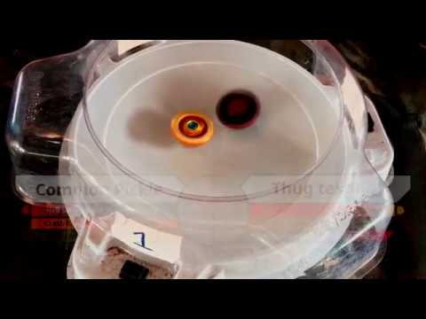 WBO Beyblade Tournament Battle: Common Pickle vs Thug testing - CRASH 3RD PLACE #BeybladeBurst