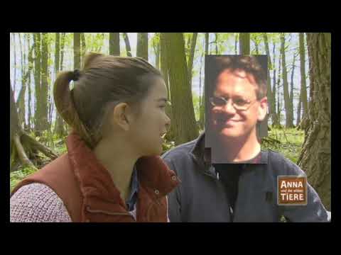 Jerry B. Anderson - Ein ganz normaler Tag im Frybad - Trash Version