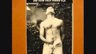 Pansy Division - Nine Inch Males 7"