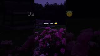 Download lagu manasula poongatru 🫣💘/ kannala kannala song lyrics 😻🐾 #tamillyrics #love #status #lovesong #shorts mp3 Download lagu manasula poongatru 🫣💘/ kannala kannala song lyrics 😻🐾 #tamillyrics #love #status #lovesong #shorts mp3