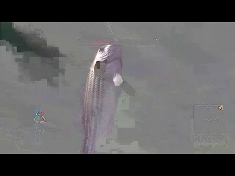 rapala tournament fishing xbox 360 cheats