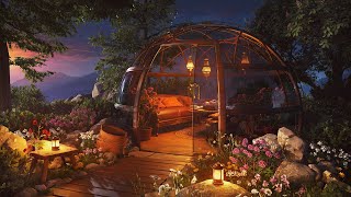 Nighttime Garden Dome Ambience | Calming Nature Sounds at Night for Ultimate Relaxation