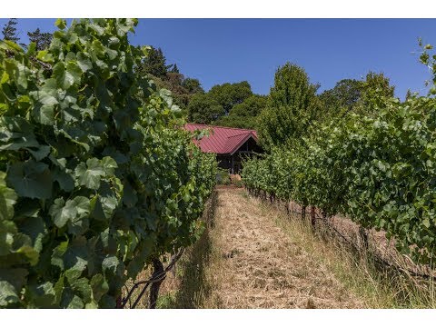 5901 Ruddock Road | Philo, CA - The Agency