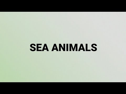 Sea Animals @learnwithshubhra221