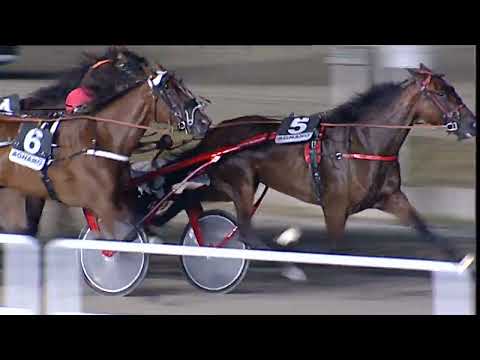 Napoli Trotto 28/07/2023 - 6ª corsa