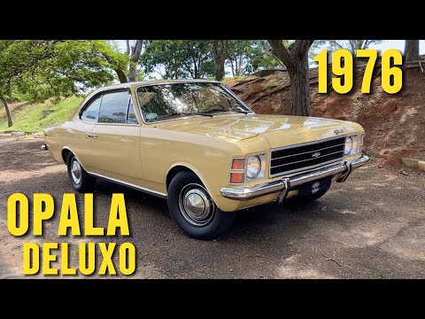 OPAL DELUXE: a family story