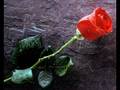 LeAnn Rimes - Some Say Love/The Rose 