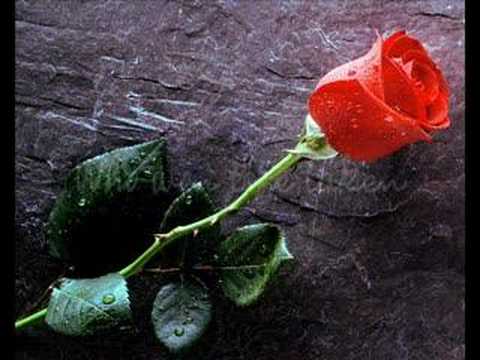 LeAnn Rimes - Some Say Love/The Rose