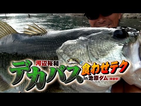 河辺裕和のデカバス食わせテクin池原ダム