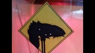 Terra: F*ck You I&#39;m Outta Here