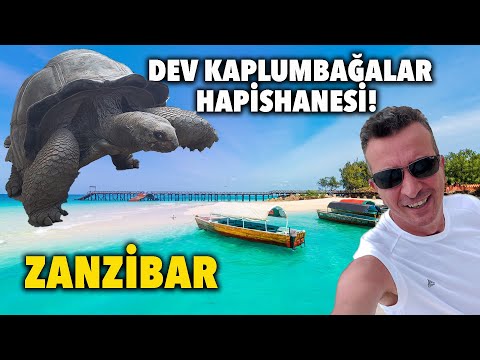 Zanzibar’da DEV KAPLUMBAĞALAR Adası