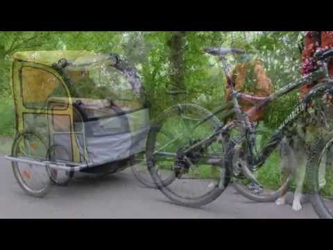 Welpenprojekt 2014 - Die mobile "Hundehütte"