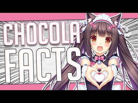 5 Facts About Chocola - Nekopara