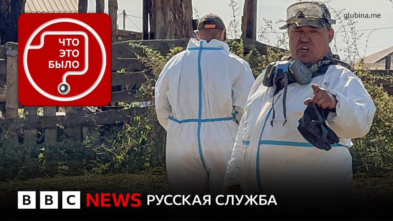 В России снова забивают скот: это ящур?