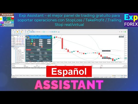 Video Exp Assistant 5