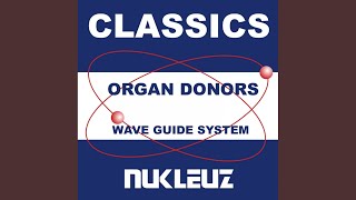 Wave Guide System (Hertz Remix)