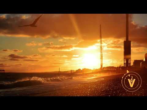 Netsky - Everybody Loves The Sunshine (feat. Chantal Kashala & Daddy Waku)