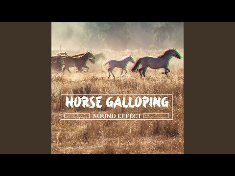 Free Download Horse Galloping Sound Effects FLAC-FANTASTiC