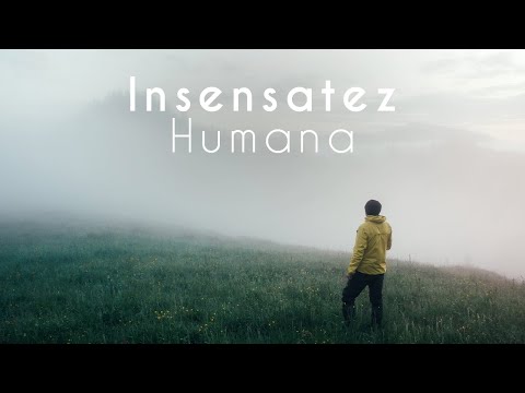 INSENSATEZ HUMANA - ADILSON SILVA