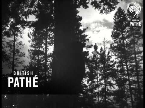 Totem Pole Golf Tournament (1948)