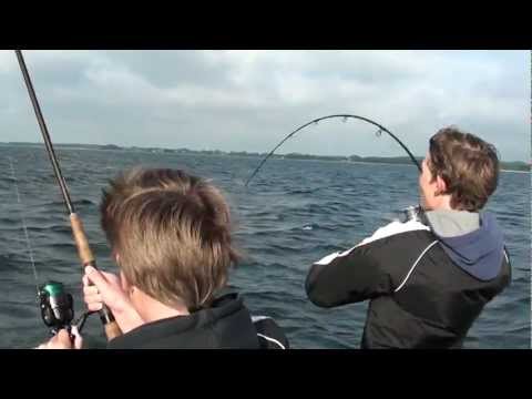 Spodsbjerg 2012 Juli     Langeland