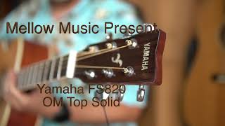 Video thumbnail for Yamaha FS820 Test by Guitar Mellowman Cave