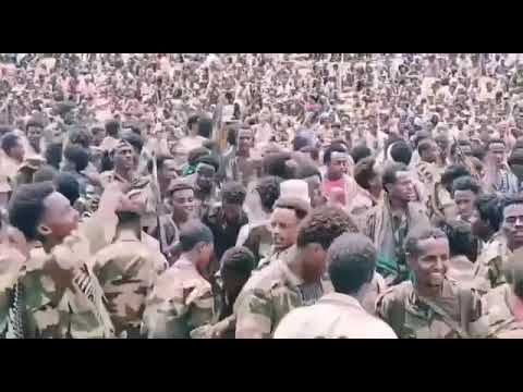 NEW ERITREAN GAYLA ERITREAN DEFENCE FORCE IN BADME BY WEDIE HAGER (2023) KUDUS YOWHANSE MZNGAE