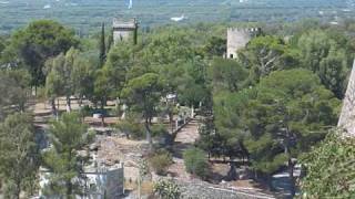 Es war das erste Mal (I feel like Buddy Holly) - Alleinunterhalter KN 7000