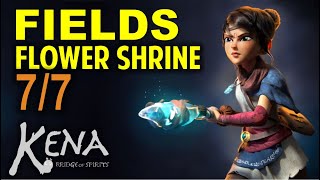 Fields: All Flower Shrine Locations | KENA: Bridge of Spirits (Collectibles Guide)