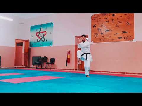 Wankan Kata | Standard & Rare Versions With Variations (Shotokan) 