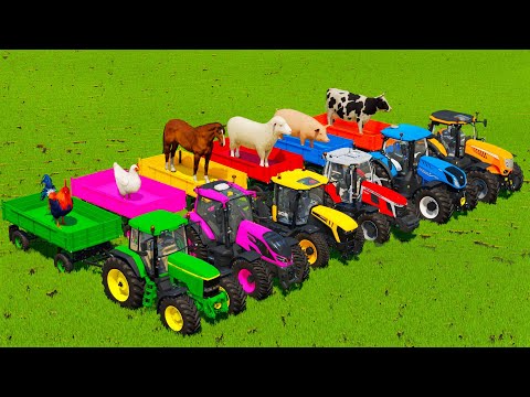 JOHN DEERE, MCCORMICK, NEW HOLLAND & JCB TRACTORS TRANSPORTING ANIMALS TO THE FARM