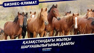 Қазақстандағы жылқы шаруашылығының дамуы 