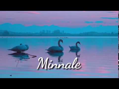 Minnale Theme, Pooppol Poopol nature remix