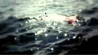 Enrique Bunbury - Ni quiero ni se olvidarte by Fran